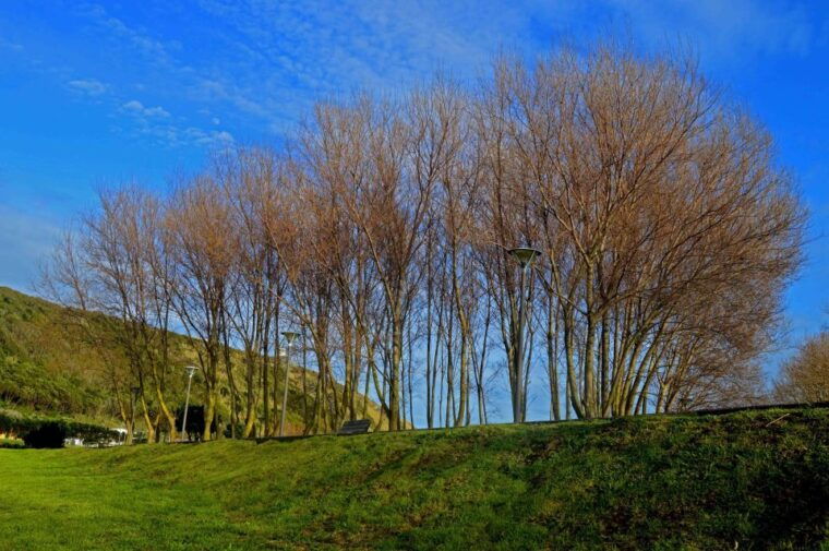 azores-terceira-island-full-day-tour