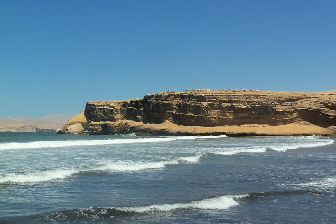 ballestas-islands-and-paracas-reserve-tour-from-san-martin-cruise