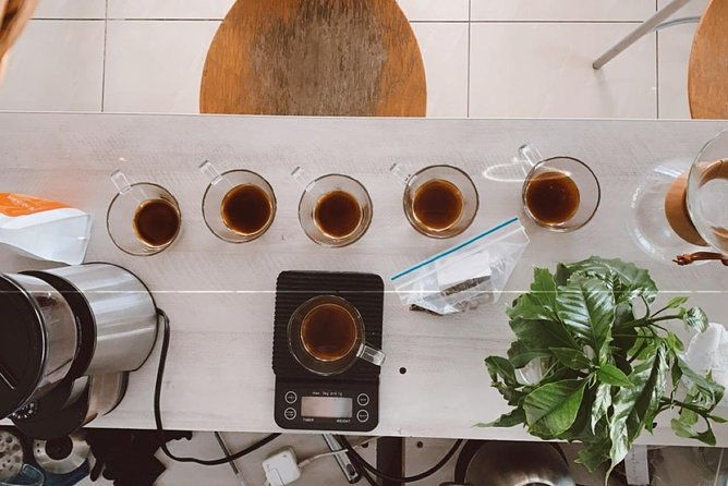 barismo-for-beginners
