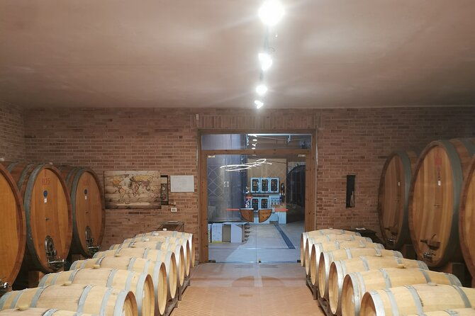 barolobarbaresco-wine-tour-with-a-local-winemaker-from-asti