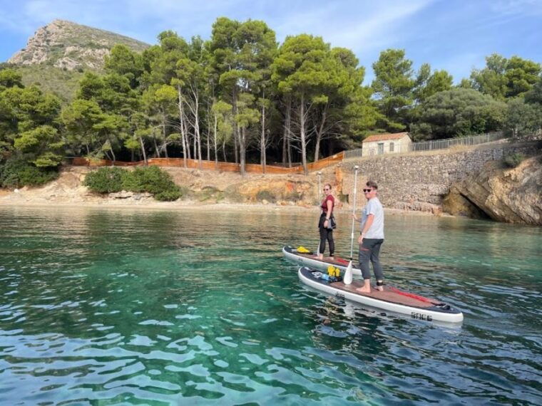 beach-of-the-cows-stand-up-paddle-tour-and-breakfast