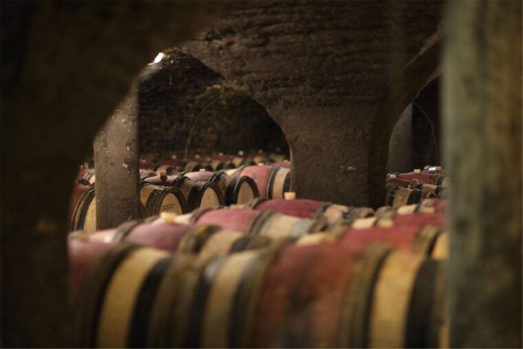 beaune-maison-champy-guided-cellar-tour-with-wine-tasting