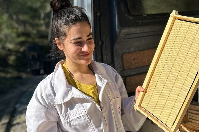 beekeeping-experience-areti-honey