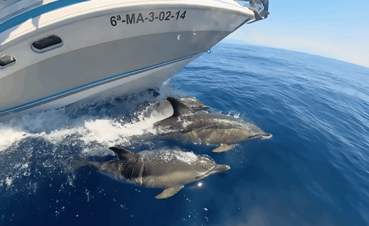 benalmadena-private-boat-trips
