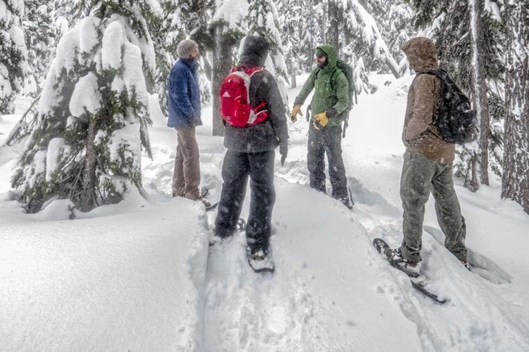 bend-half-day-snowshoe-tour-in-the-cascade-mountain-range