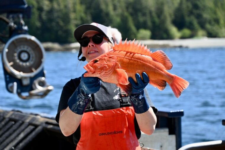 bering-sea-crab-fishermens-tour