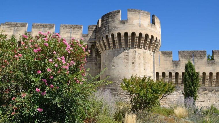 best-of-avignon-private-walking-tour-with-a-local