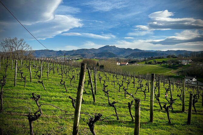 biarritz-full-day-excursion-to-visit-the-basque-coast
