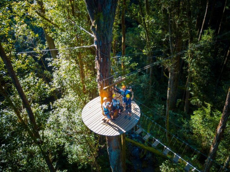 big-island-3-hour-kohala-canopy-zipline-adventure