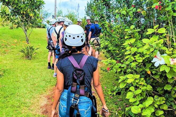 big-island-zipline-over-kolekole-falls-w-hilo-cruise-ship-pickup