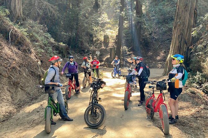 big-surs-old-coast-road-ebike-tour
