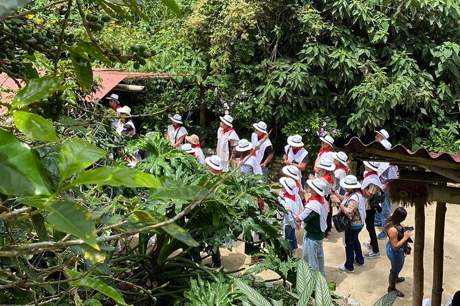 bilingual-coffee-tour-30-minutes-from-medellin-all-inclusive