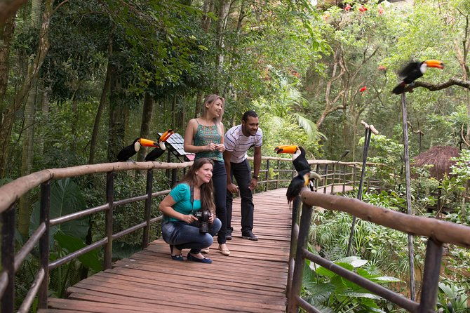 bird-park-iguassu-brazilian-side-from-puerto-iguazu-hotels-private-tour