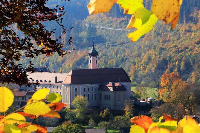 black-forest-myths-and-stories-walk-guided-by-a-local