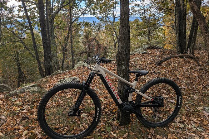 blue-ridge-mountain-e-bike-tour