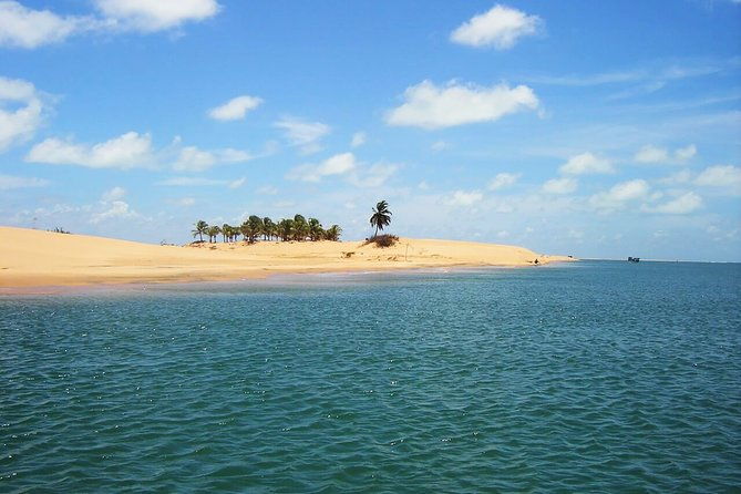 boat-ride-sao-francisco-river-the-largest-in-brazil