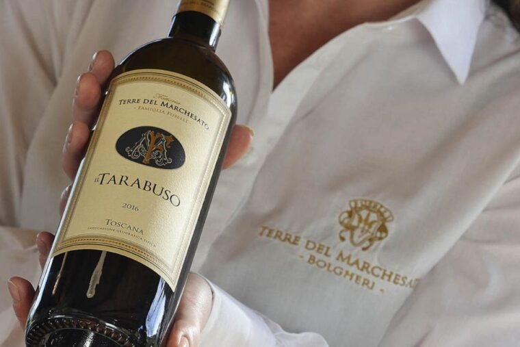 bolgheri-winery-tour-with-wine-tasting