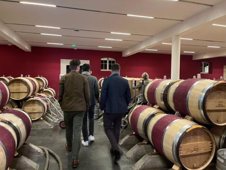 bordeaux-medoc-tour-in-a-small-group-luxury-mercedes-eqv