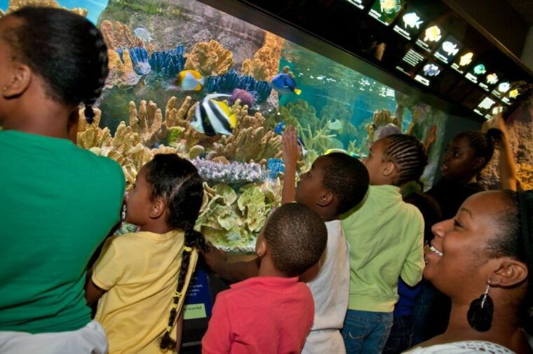 boston-citypass-save-up-to-46-at-4-top-attractions