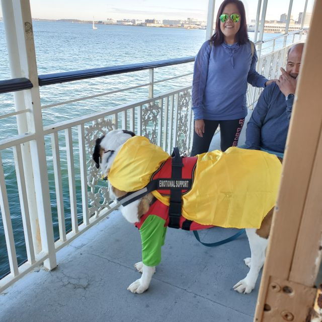 boston-scenic-harbor-cruise-dog-friendly