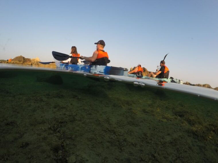 brindisi-kayaking-at-santandrea-island-turtle-watching