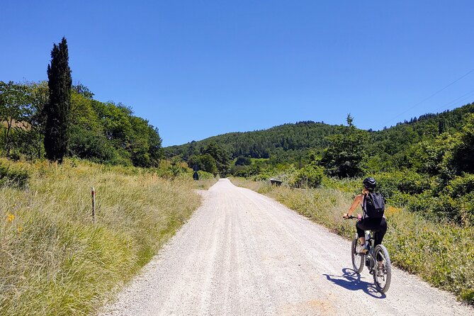by-ebike-visit-an-art-park-and-wine-taste-in-the-classic-chianti