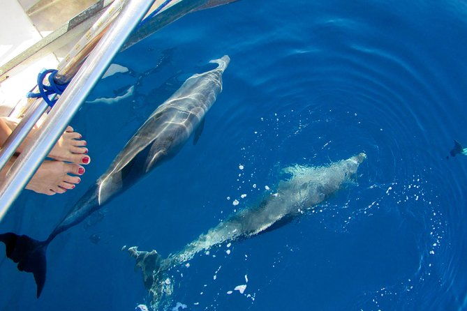 cabin-charter-in-september-sailing-boat-cyclades-santorini-with-chef