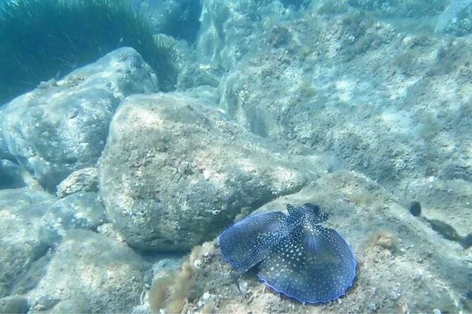 cala-gonone-snorkeling-in-the-orosei-gulf