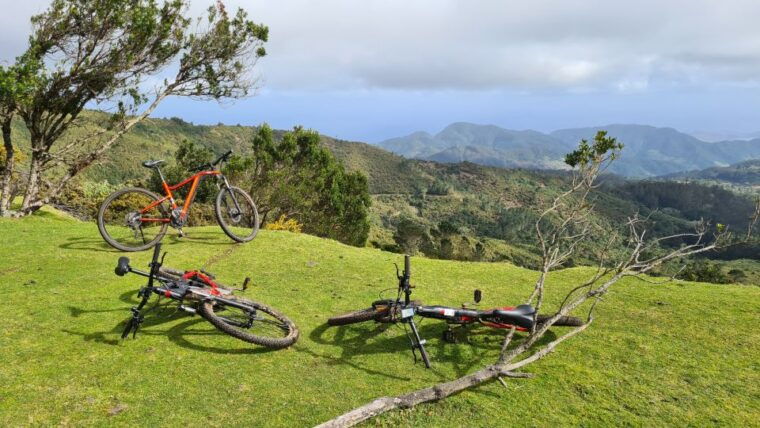 camacha-levada-trail-e-bike-guided-tour