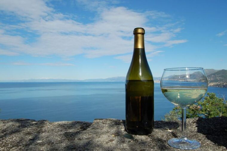 camogli-ligurian-wine-tasting-experience