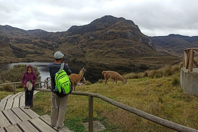 camping-tour-cajas-national-park-from-cuenca