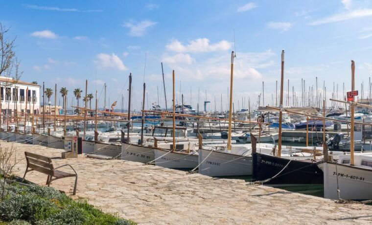 cap-de-formentor-market-beach-and-alcudia-tour