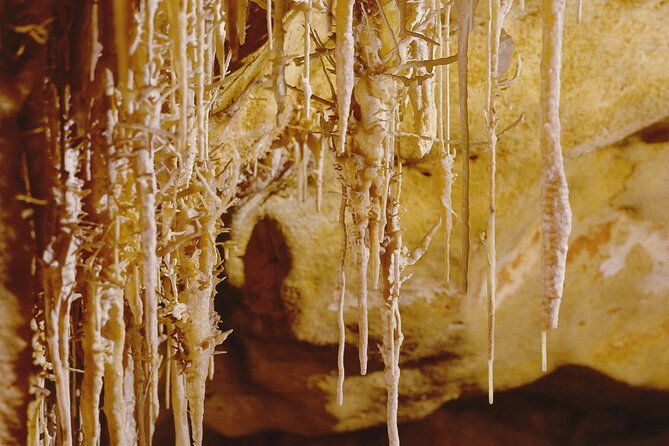 caves-drach-tour-return-transfer-from-cala-dor-calas-mallorca