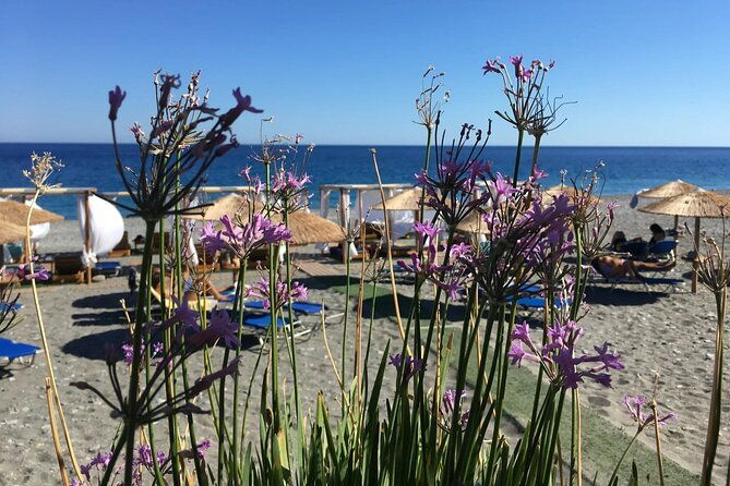 chania-pink-beaches-private-tour-elafonisi-falassarna