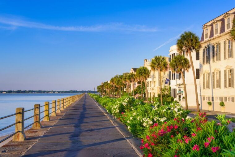 charleston-citadel-history-professor-guided-walking-tour