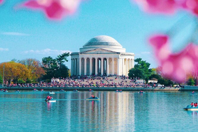 cherry-blossom-private-bus-tour-of-washington-dc