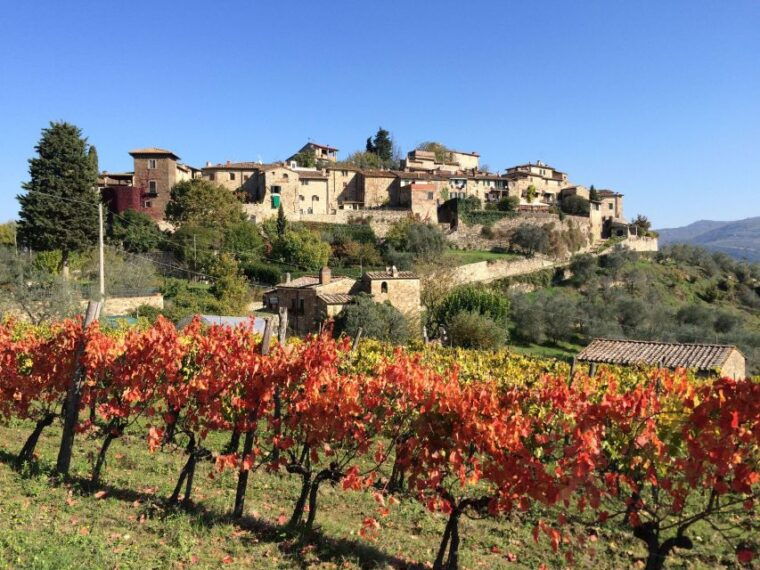 chianti-siena-s-gimignano-wine-tasting-private-tour