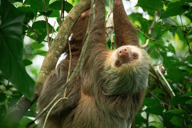 cloud-forest-natural-history-tour