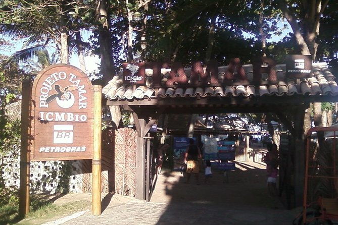 coconut-coast-and-praia-do-forte-the-famous-beaches