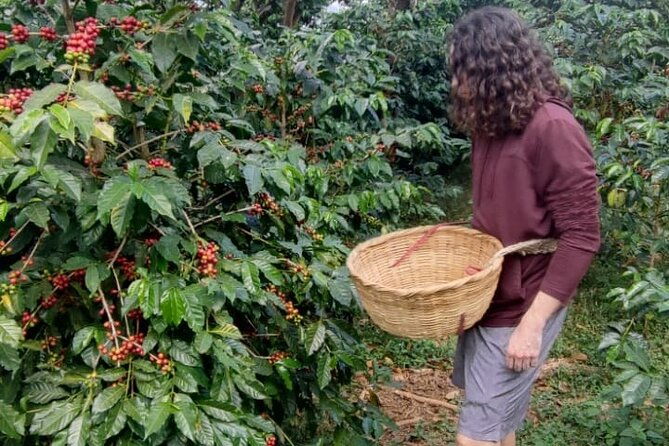 coffee-and-hot-spring-in-ruta-de-flores-and-albania-labirint