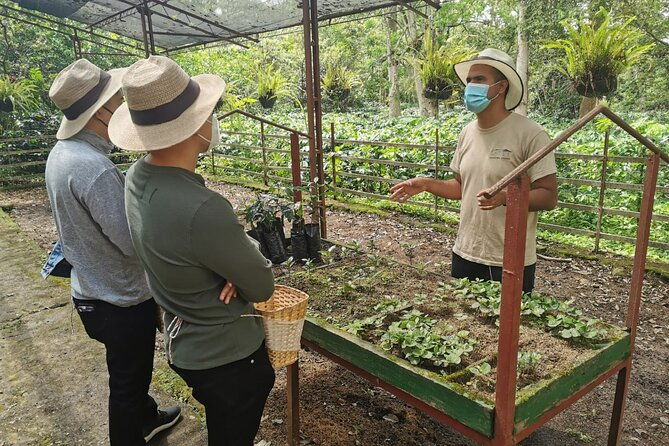 coffee-farm-group-tour-and-daily-departure-2