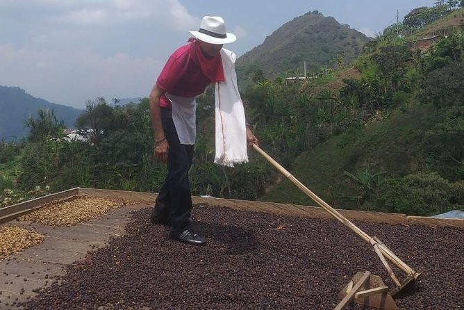 coffee-tour-medellin-2
