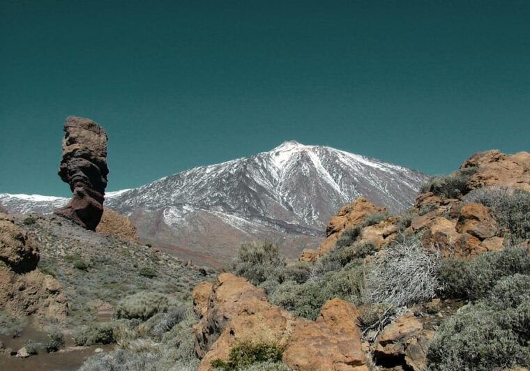 collective-adventure-travel-volunteer-in-tenerife