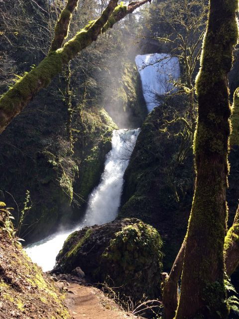 columbia-river-gorge-half-day-small-group-hiking-tour