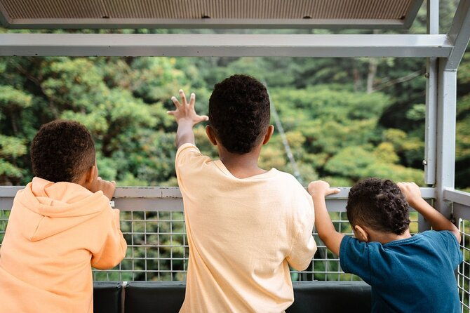 combo-monteverde-cable-car-zip-line-tour-suspension-bridges
