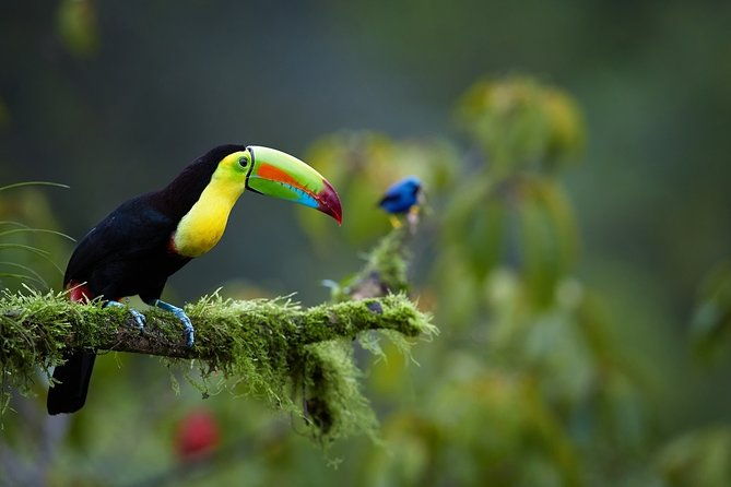 corcovado-deluxe-arenal-volcano-expedition-8d-7n-vacation-package