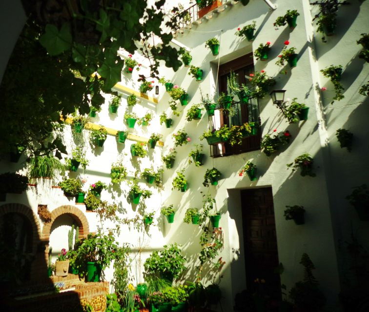 cordobas-authentic-patios-2-hour-tour-with-tickets-3