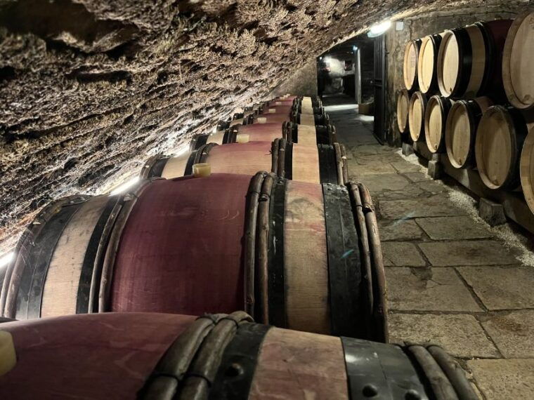 cote-de-nuits-private-local-wineries-and-wine-tasting-tour