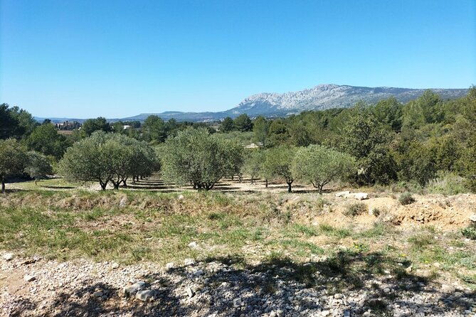 countryside-immersion-with-horseback-riding-in-sainte-victoire