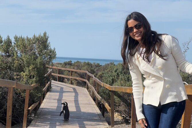 cruise-excursion-to-punta-tombo-from-puerto-madryn